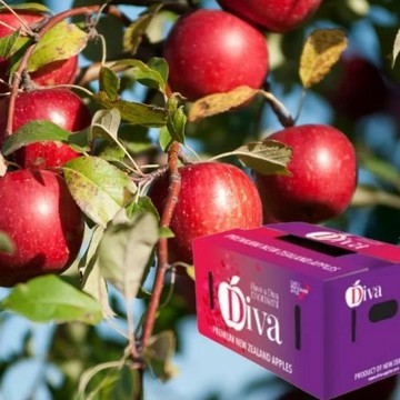 【RealShop 真食材本舖】紐西蘭Diva蘋果 70-80顆 約18kg 原箱裝(送禮首選)