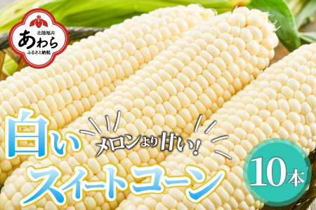 朝採り 白とうもろこし 10本入《外皮ごとレンジでチン！メロンより甘い！》／ 野菜 スイートコーン 白 ホワイトコーン ホワイト とうもろこし バーベキュー  夏 ※2024年5月下旬以降発送