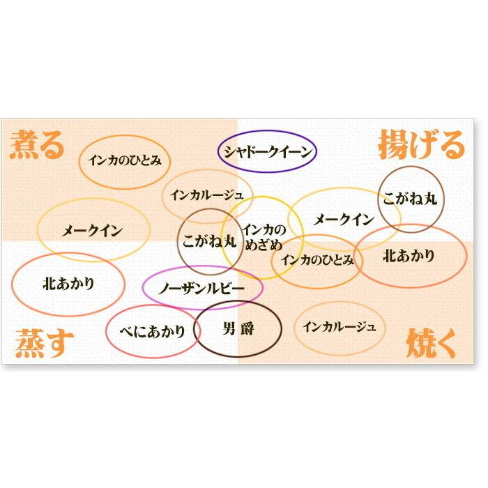 じゃがいも 食べくらべ 北海道産 6種 1kgずつセット 合計6kg（ 男爵 北あかり メークイン インカのめざめ シャドークイーン ノーザンルビー ）