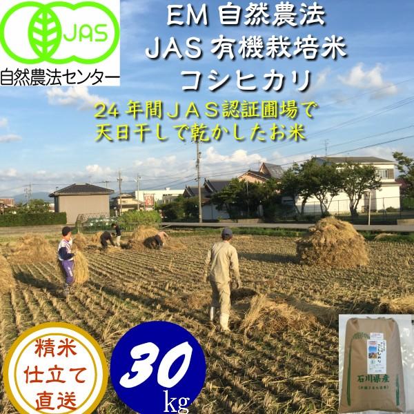 令和5年産 新米 無農薬  有機米 天日干し こしひかり 食用玄米30kg  天地の誉 EM 農法 JAS  オーガニックお米