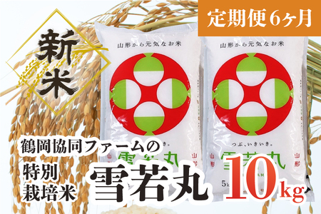  特別栽培米雪若丸 10kg (5kg×2袋) ×6ヶ月 山形県鶴岡産　鶴岡協同ファーム