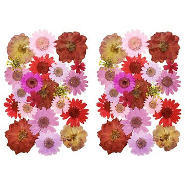 A-ONE 匯旺 真花壓花 中花包 BB12  春回大地 粉紅色 + 紅色