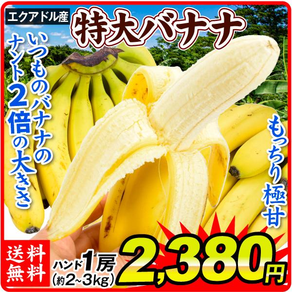 バナナ 1房 エクアドル産 特大バナナ ご家庭用 ハンドバナナ 約2〜3kg前後  送料無料 食品