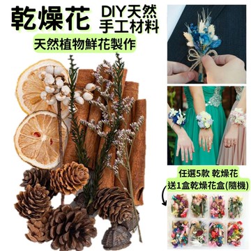 【A-ONE】乾燥花盒 植物風乾松果 肉桂 橡果 永生花 DIY手作 花材盒 佈置 裝飾 乾燥花 B16 綜合乾果盒A_廠商直送