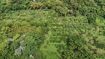 寶山平價版-多用途-農地(有農政)｜新竹縣寶山鄉雞油凸段八分寮小段