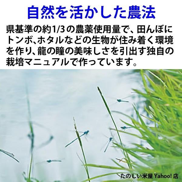 新米 龍の瞳 1kg　岐阜県産 令和5年産米 白米 プレゼントに最適 ご注文後に精米・発送 送料無料（一部地域送料加算）