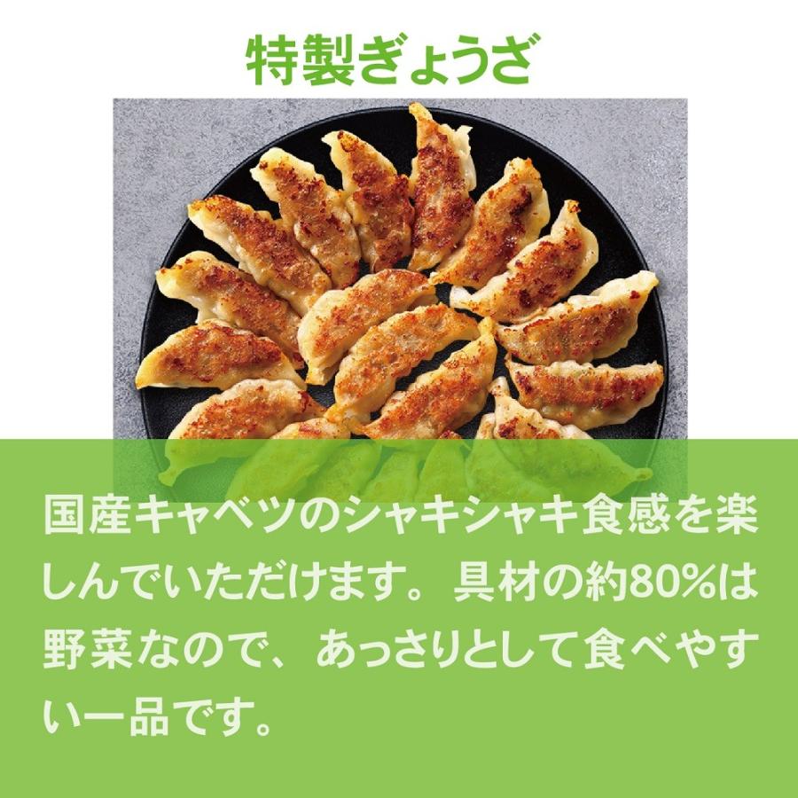  人気の餃子セット ／  送料無料（沖縄別途送料）当店で人気の餃子詰め合わせ！ 餃子工房 ロン みまつ食品