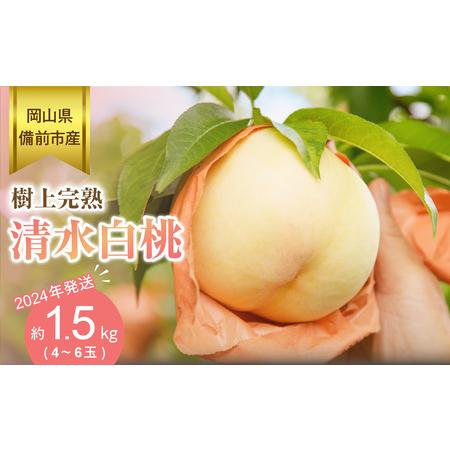 ふるさと納税 岡山県備前市産　樹上完熟白桃「清水白桃」約1.5kg（4〜6玉入） 岡山県備前市