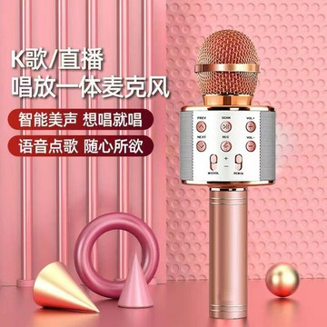 麥克風k歌話筒音響一體無線電視兒童唱歌全民家用ktv變聲家庭【Snowbelle優選】