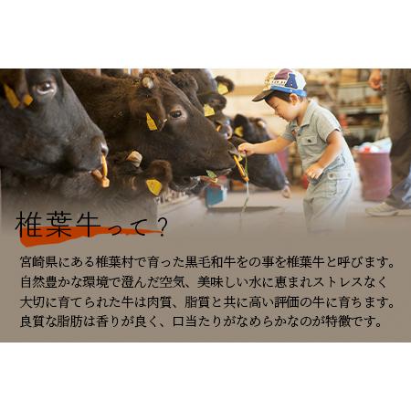 ふるさと納税 宮崎県産 椎葉牛 サーロインステーキ 宮崎県椎葉村