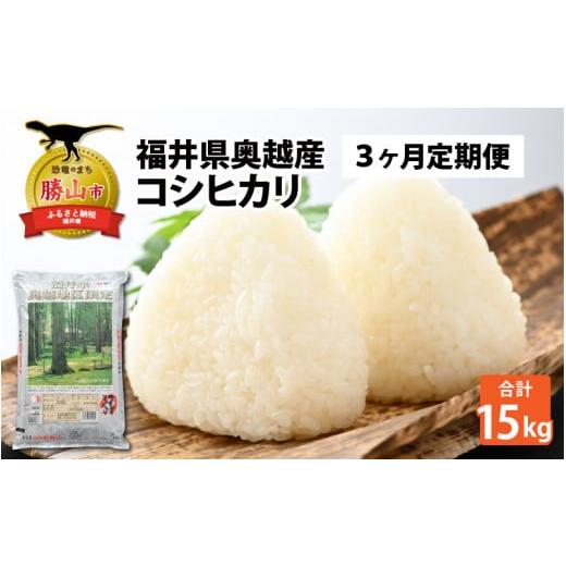 ふるさと納税 福井県 勝山市 令和5年産 新米 福井県産奥越コシヒカリ5kg ×1袋（5kg × 3ヶ月） [C-015014]