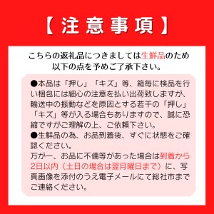 ぶどう「シャインマスカット」岡山県総社市産24-017-002