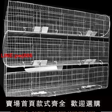 {台灣公司 可開發票}批發12位24位養殖場專用兔籠子母種兔籠家用養殖兔籠全套兔子籠