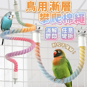 鳥用漸層攀爬棉繩 鸚鵡攀爬棉繩 鳥用攀爬繩 鳥玩具 任意變形 鸚鵡玩具 鳥用品 攀爬繩【251012】
