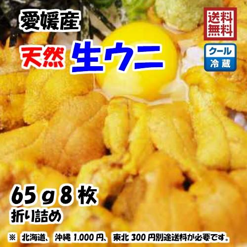 生ウニ 板ウニ 60g8枚 愛媛 天然 紫ウニ 赤ウニ 素潜り海士 送料無料 北海道 沖縄 東北は別途送料 浜から直送 宇和海の幸問屋 愛媛百貨店