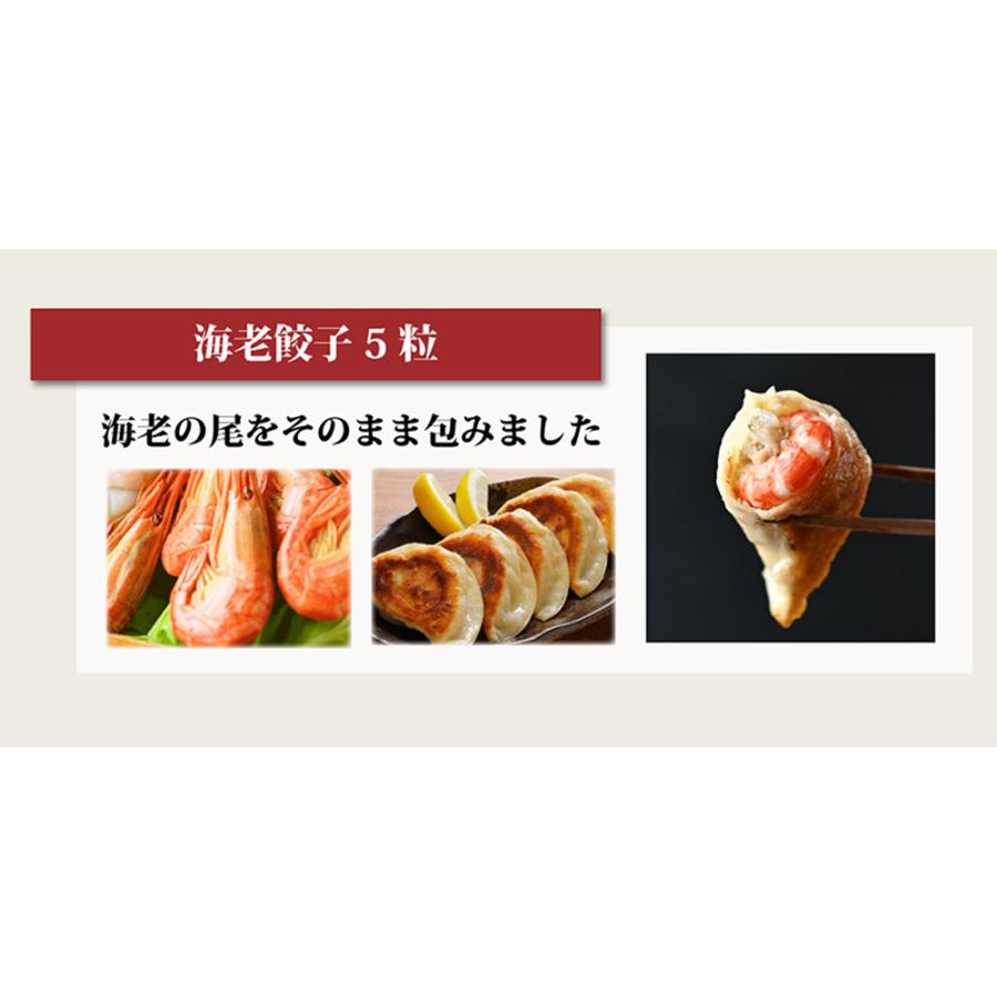 SAPPORO餃子製造所 特選 北海道餃子ギフト 5種セット 送料無料 餃子 北海道餃子 中華料理 お取り寄せ ご飯のお供 ビール おつまみ ご自宅用 贈り物 ギフト