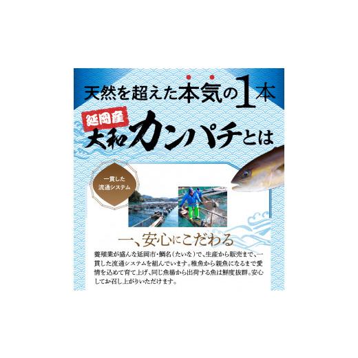 ふるさと納税 宮崎県 延岡市 大和カンパチの切り身 約600g　N072-ZA154