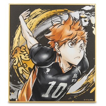Haikyu 排球少年!! 激鬥!!閃亮色紙 日向翔陽  1色  1張