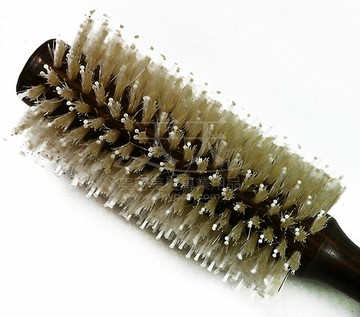 夏梵納 白鬃斜圓梳 #184超大 C376 [76214] ::WOMAN HOUSE::