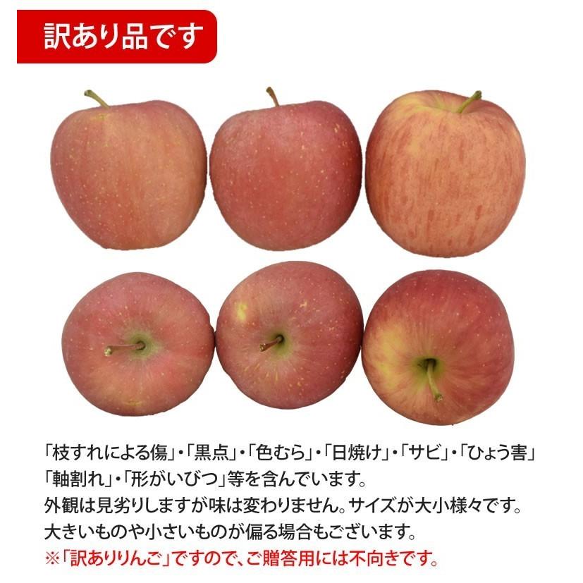 りんご 訳あり リンゴ 送料無料 約1.5kg 長野・青森県産 2セットで1セットおまけ お取り寄せ サンふじ つがる ジョナゴールド ふじ 林檎