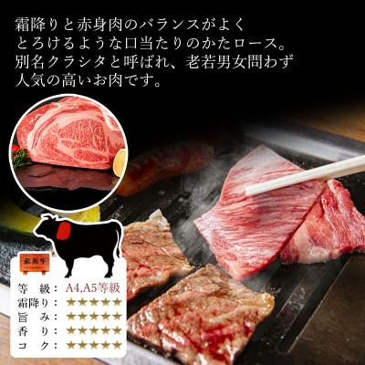 ふるさと納税 可児市 飛騨牛 肩ロース肉 焼肉用 1kg (500g×2パック)