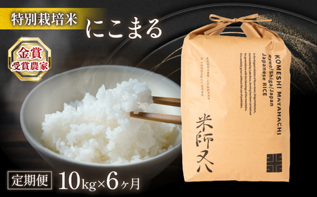  令和5年産 十六代目米師又八 謹製 にこまる 10kg×6ヶ月  米 新米 にこまる 精米 にこまる 白米 にこまる 令和5年産 にこまる 産地直送 にこまる 農家直送 にこまる 国産 にこまる 特別栽培米 にこまる 金賞農家 にこまる 滋賀県 竜王町)