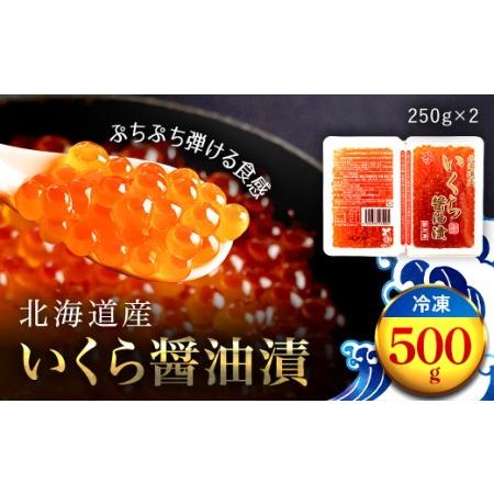 ふるさと納税 北海道産 いくら醤油漬（冷凍）２５０ｇ×２パック入り OSMM006 北海道長万部町