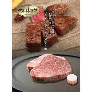 ふるさと納税 (冷凍) シャトーブリアン 200g×2枚 大和榛原牛 ／うし源本店 A5 最上級 霜降り 特産 フィレ ヒレ ヘレ肉 牛肉 黒毛和牛 奈良.. 奈良県宇陀市