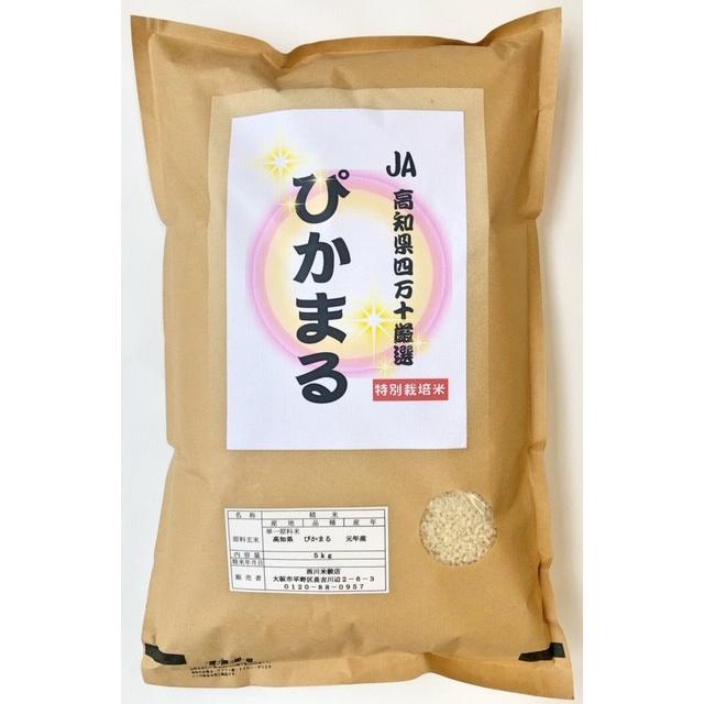 米 お米 新米 10kg ぴかまる (5kg×2) 特別栽培米 お米マイスター厳選 高知県産 令和5年産