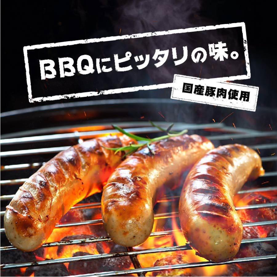 国産ガーリックウィンナー１パック約150g入り お肉屋さんのこだわりがつまってる！変わり種　キャンプ　バーベキュー　パーティー　ジューシー　にんにく