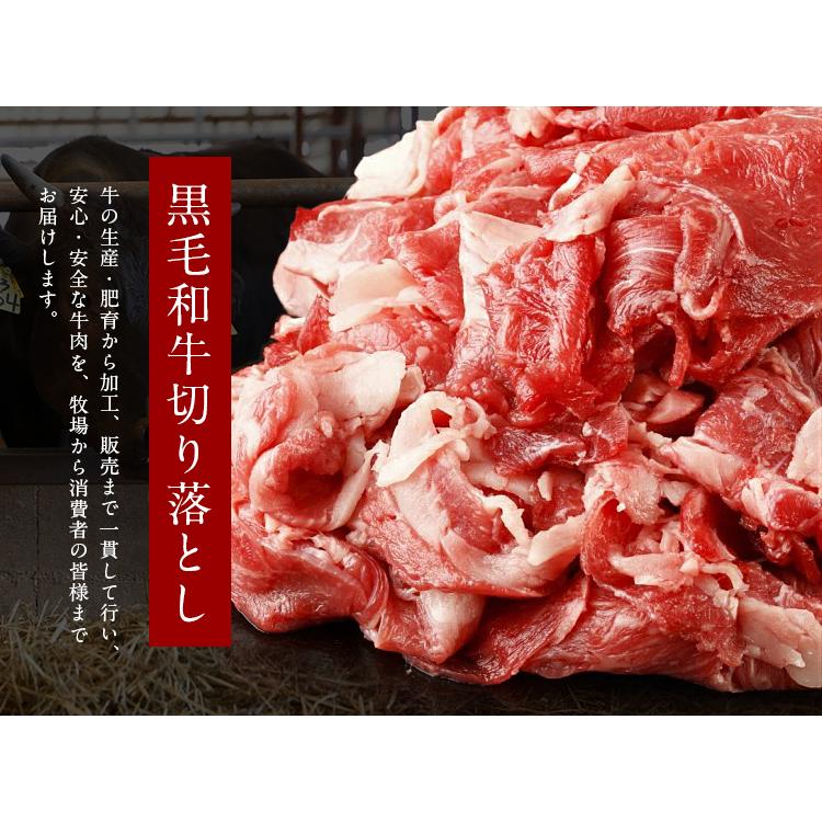 牛肉 九州産 黒毛和牛 切り落とし 800g (400g×2) セット 宮崎 有田牧場 国産 送料無料 鍋 焼肉 プレゼント ギフト お取り寄せグルメ 高級 [産直]