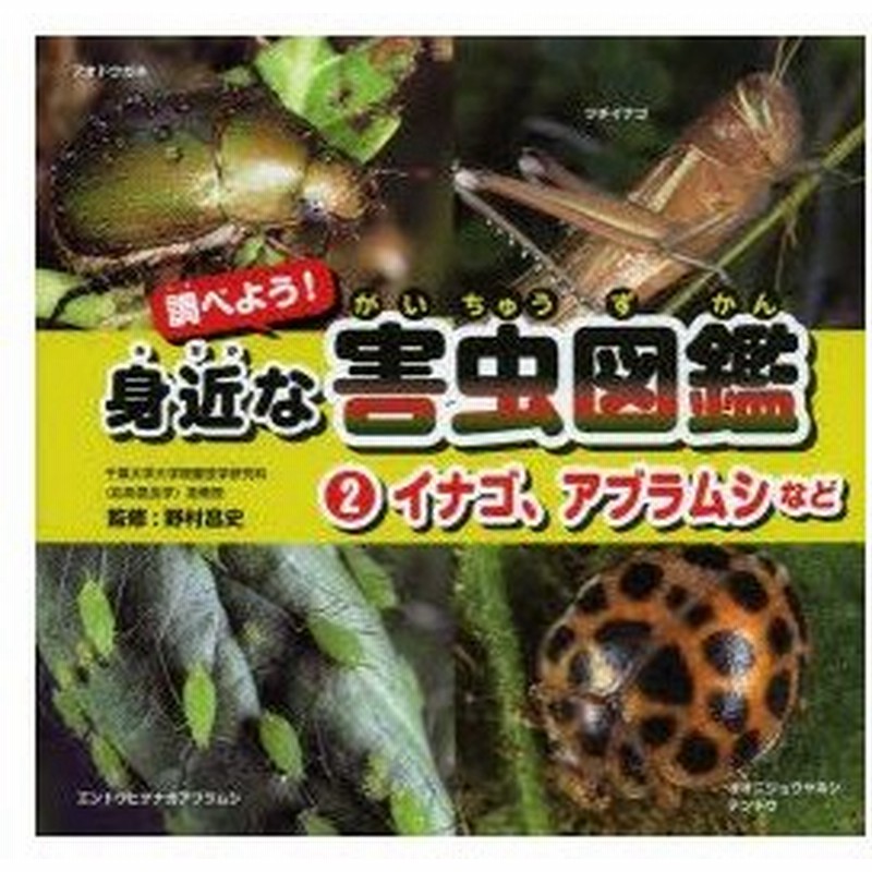 調べよう 身近な害虫図鑑 2 イナゴ アブラムシなど 野村昌史 監修 工藤美也子 著 通販 Lineポイント最大0 5 Get Lineショッピング