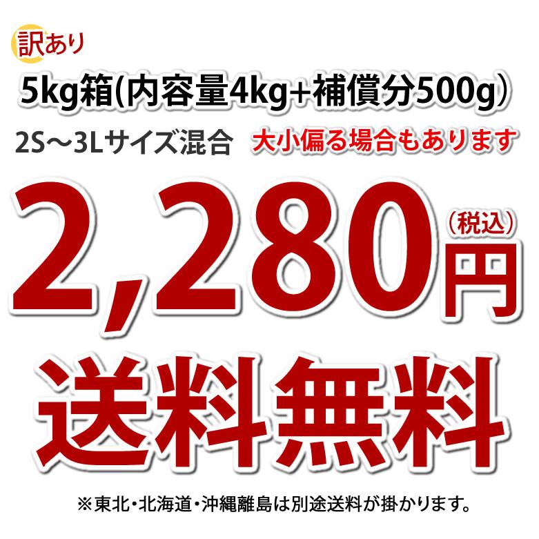 さつまいも 紅はるか 訳あり 5kg 箱込（内容量4kg＋補償分500g) 送料無料 べにはるか 熊本県産 サツマイモ 紅蜜芋 芋 いも