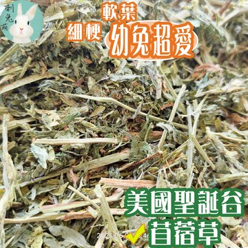 刺兔萌 隔日配 苜蓿草 牧草 提摩西 提摩西草 甜燕麥 提摩西三割 提摩西一割 二割 提摩西牧草 美國牧草澳洲