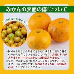 ふるさと納税 i570 ＜2023年11月上旬〜2024年1月下旬の間に発送＞温州みかん日本一！濃甘あめ玉みかん(約6kg・1箱＋傷.. 鹿児島県出水市