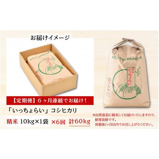 ふるさと納税 福井県 あわら市 《定期便6回》いっちょらい 精米 10kg（計60kg） ／ 福井県産 ブランド米 コシヒカリ ご飯 白米 新鮮 大賞 受賞 …