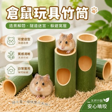 寵物省錢鋪】 倉鼠玩具竹筒金絲熊籠子豚鼠荷蘭豬造景解悶打洞隧道迷宮躲避窩屋 可愛 出貨 倉鼠籠子 倉鼠造景 toy