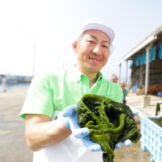 魚介類 海藻 送料無料 新物 釜揚げ塩蔵わかめ120ｇ×12袋 玄界灘産  産地直送