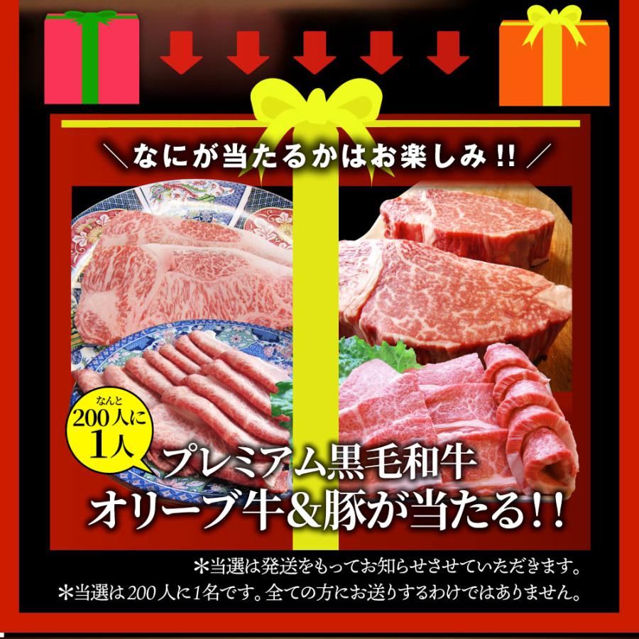 2024 肉の福袋 ブロンズ メガ盛り 総重量2.25kg（7種 食べ比べ) 牛肉 焼肉セット 焼肉 ソーセージ ハンバーグ