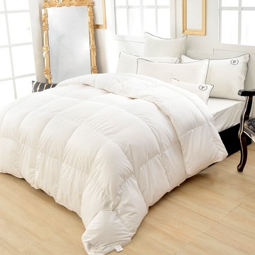 La Belle 95/5 波蘭 輕羽絨 抗菌 暖冬被 單/雙/特 可水洗 天然 羽絨被 台灣製 格蕾寢飾