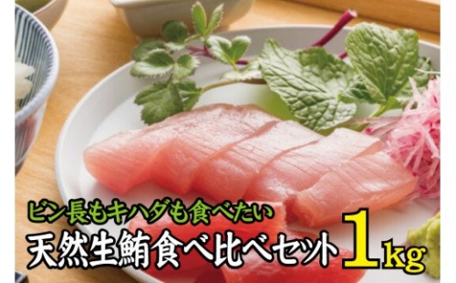 天然生まぐろ食べ比べセット 1kg キハダ（もしくはメバチ）＋びん長まぐろのセット   生鮪 鮪 マグロ 生まぐろ キハダマグロ ビンチョウマグロ 刺身