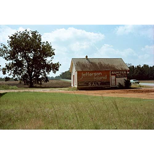 William Eggleston: Election Eve