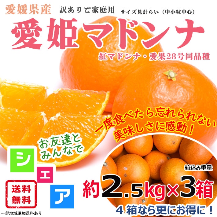 愛媛県産 愛姫まどんな(通称：紅まどんな) 2.5kg (3箱) 訳あり サイズおまかせ 産地直送