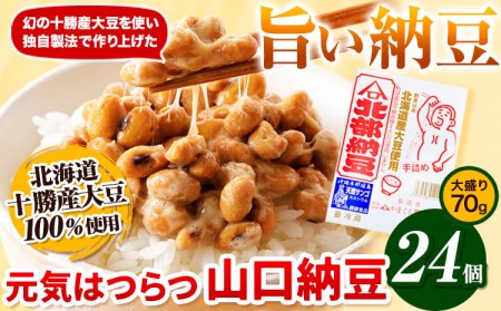 元気はつらつ山口納豆!!(70g24個入り)  有限会社やまぐち醗酵食品 《60日以内に順次出荷(土日祝除く)》 北海道 本別町 国産納豆 山口納豆 朝食 納豆 健康 24個  お取り寄せ  ご飯のお供 送料無料