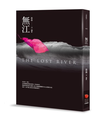 無江[二手書_良好]
