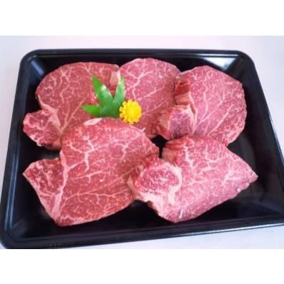 ふるさと納税 ＜ひら山＞厳選　京都府産黒毛和牛（亀岡牛・京の肉・京都肉・丹波産）　和牛ヒレステーキ １００gx５枚     京都府亀岡市