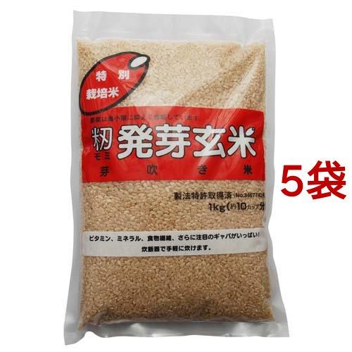 令和3年産 籾発芽玄米 芽吹き米 1kg*5袋セット