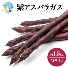 貴重で甘みが強い!　紫アスパラガス(Mサイズ)　約1.5kg