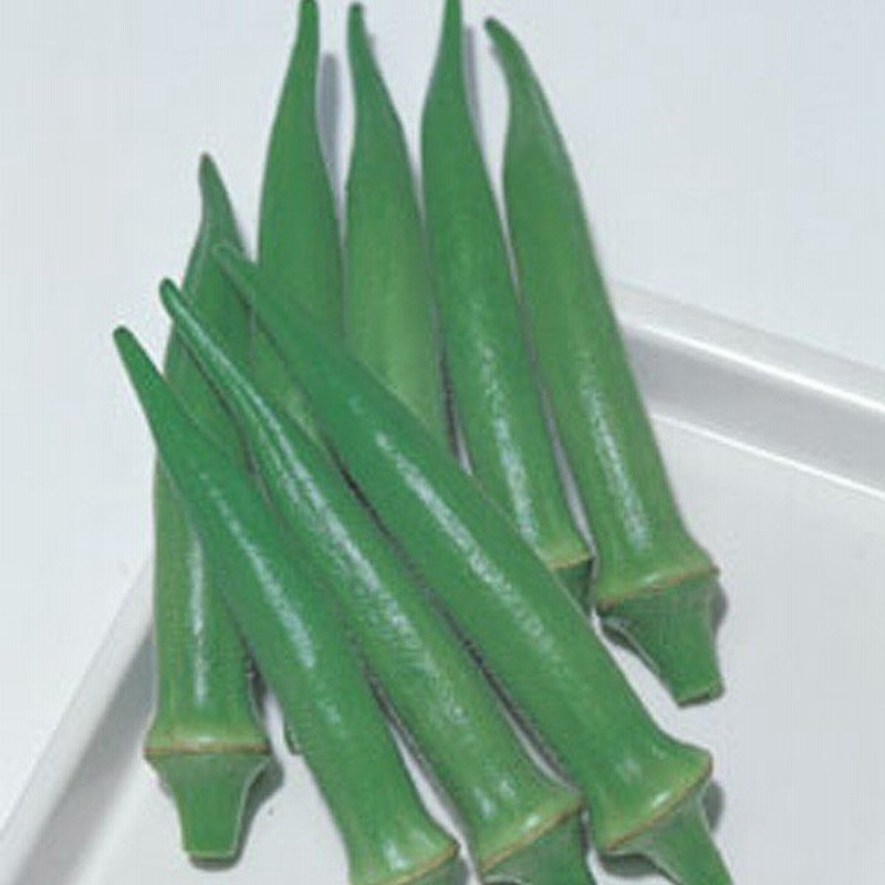 野菜の種 種子 エメラルド オクラ おくら 1000粒 メール便発送 大袋 タキイ種苗 通販 Lineポイント最大0 5 Get Lineショッピング