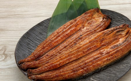 うなぎ 国産 浜松 浜名湖 鰻 蒲焼き 真空パック 長蒲焼2枚セット